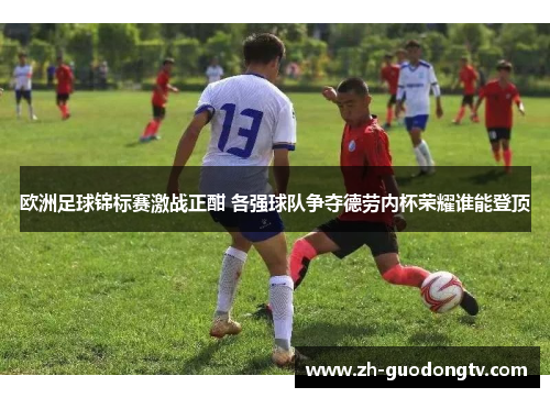 欧洲足球锦标赛激战正酣 各强球队争夺德劳内杯荣耀谁能登顶