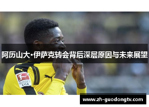 阿历山大·伊萨克转会背后深层原因与未来展望